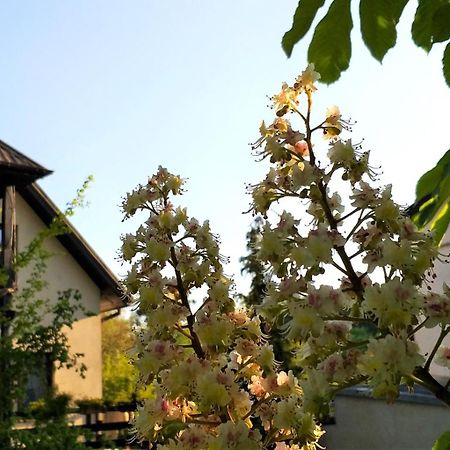 Dom Pod Kasztanami Apartment Казимеж Долни Екстериор снимка